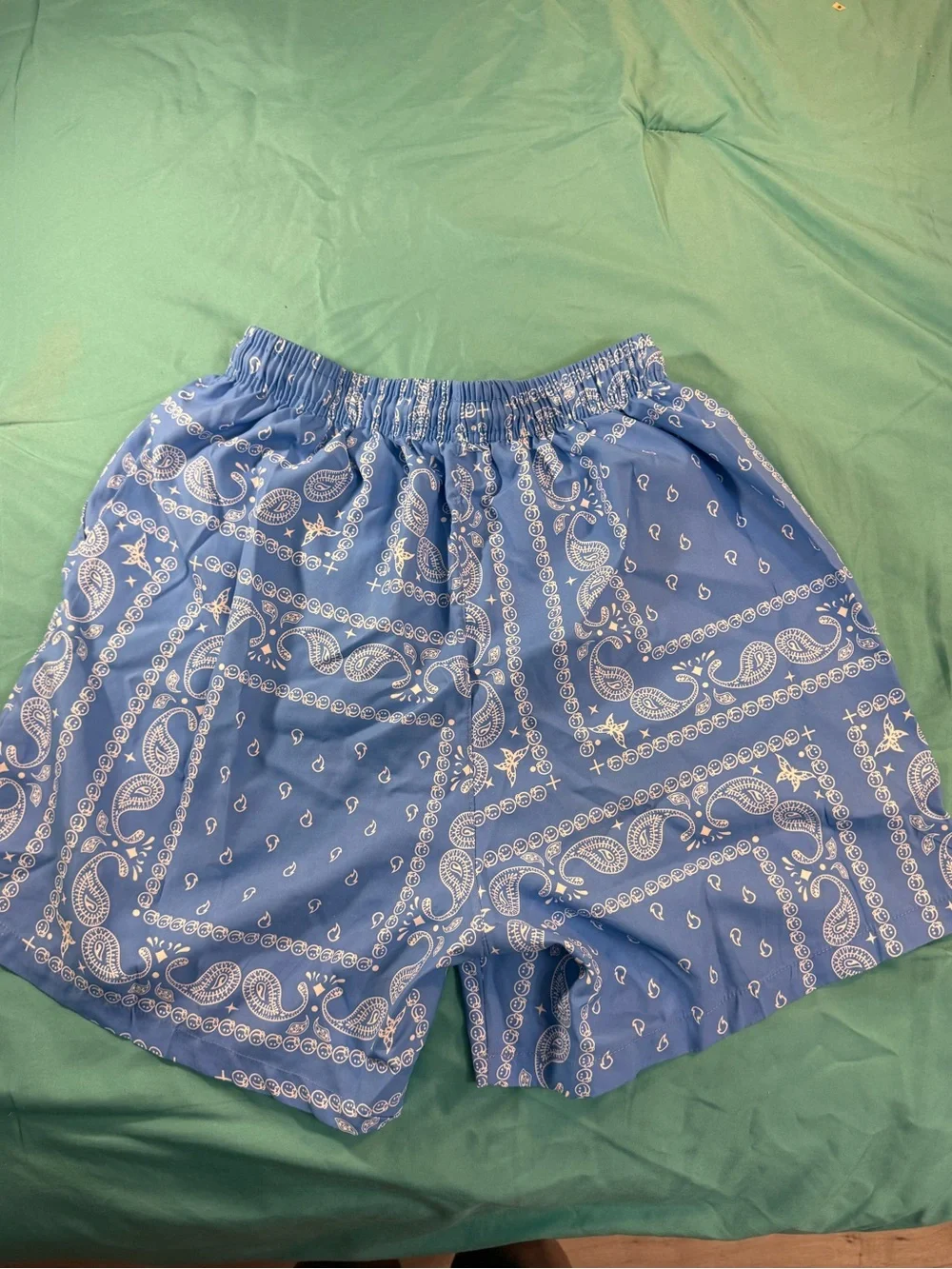 Blue Bandana-Print Boys Swim Board Boho Western Shorts